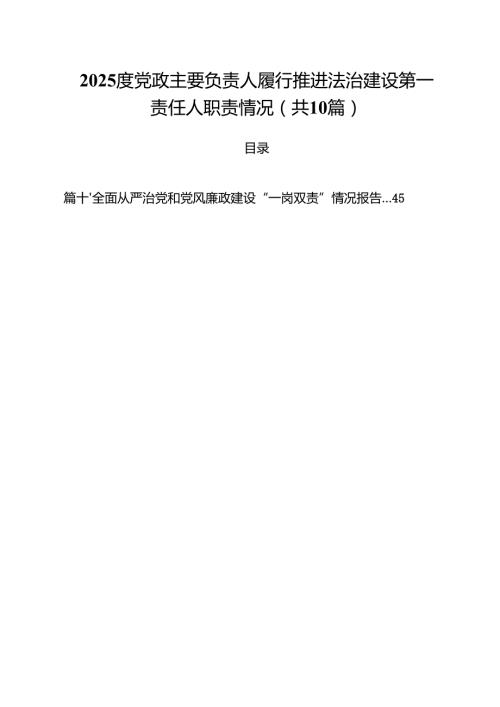 2025度党政主要负责人履行推进法治建设第一责任人职责情况10篇（详细版）.docx