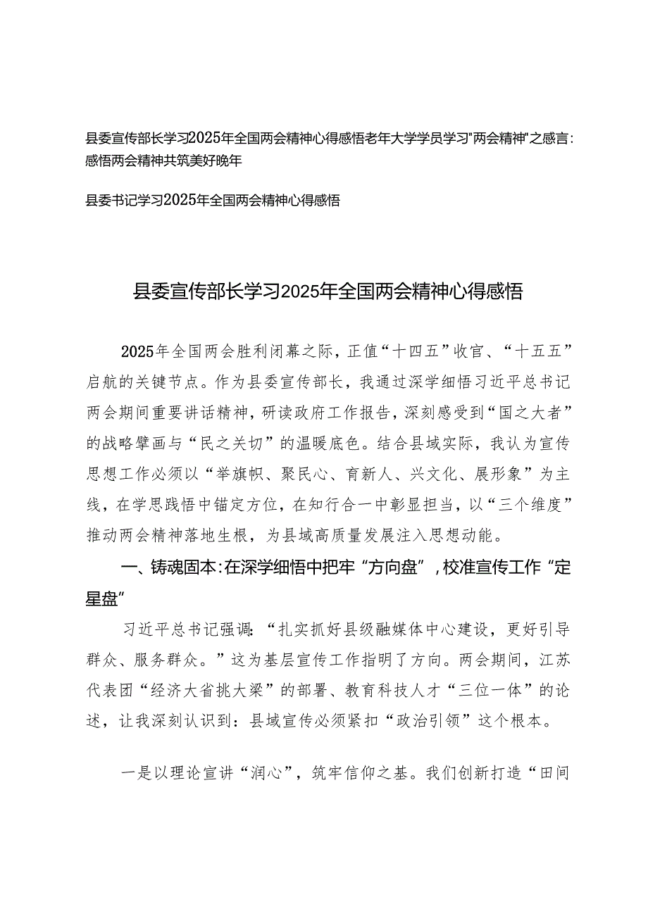 县委书记、县委书记学习2025年全国两会精神心得感悟心得体会.docx_第1页