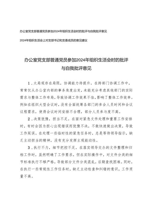 2025年3月 办公室党支部普通党员参加组织生活会时的批评与自我批评意见+组织生活会上对支部书记和支委成员的意见建议.docx