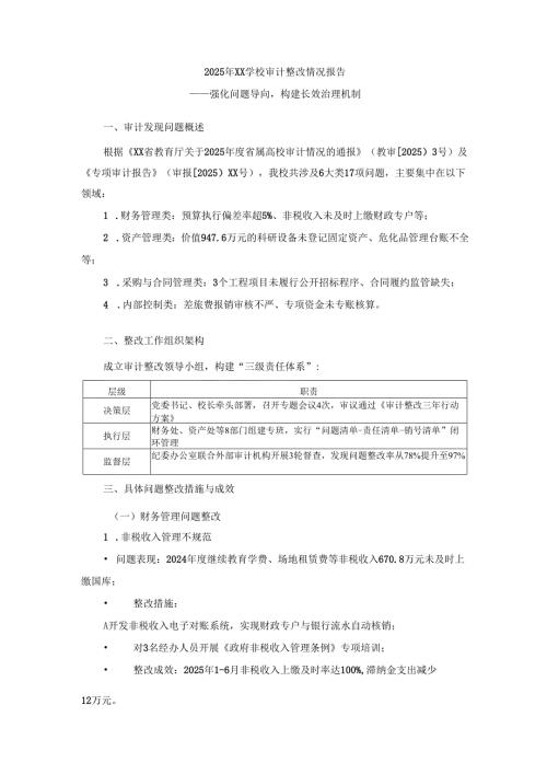 2025年某学校审计整改情况报告.docx