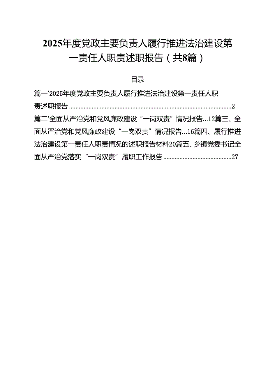 （8篇）2025党政主要负责人履行推进法治建设第一责任人职责述职报告精选版.docx_第1页