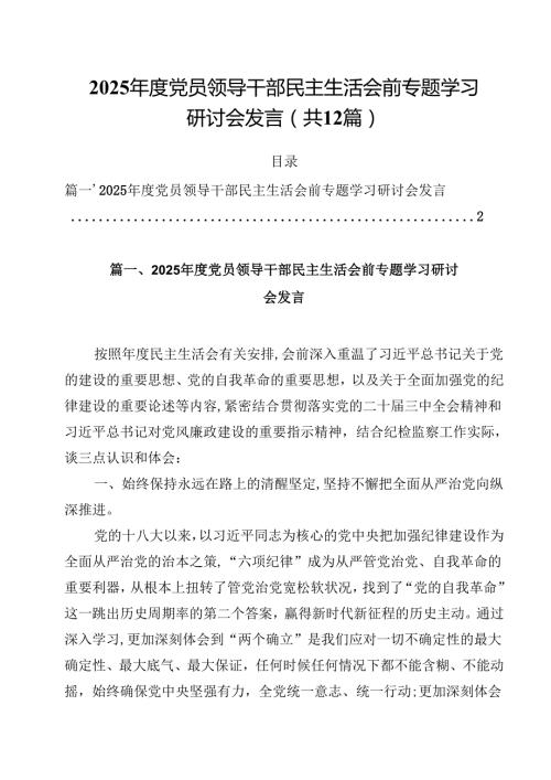 （12篇）2025党员领导干部民主生活会前专题学习研讨会发言集合.docx