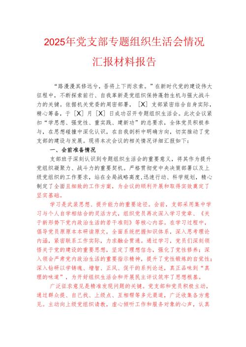 2025年党支部专题组织生活会情况汇报材料报告(1)(1).docx