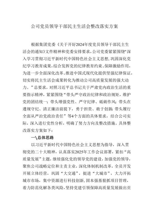 20242025公司党员领导干部民主生活会整改落实方案.docx