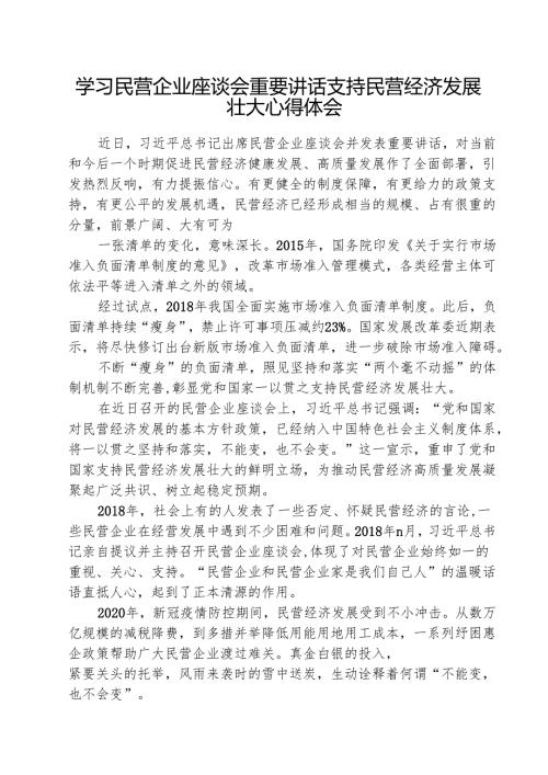 学习民营企业座谈会重要讲话支持民营经济发展壮大心得体会（共5篇）.docx