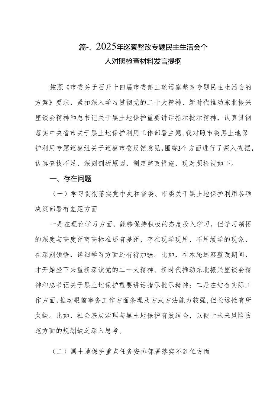 2025年巡察整改专题民主生活会个人对照检查材料发言提纲（共11篇）.docx_第2页