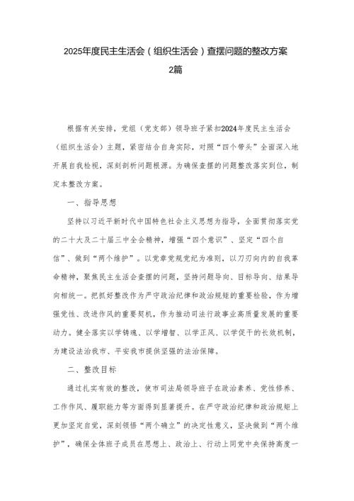 2025民主生活会（组织生活会）查摆问题的整改方案2篇.docx