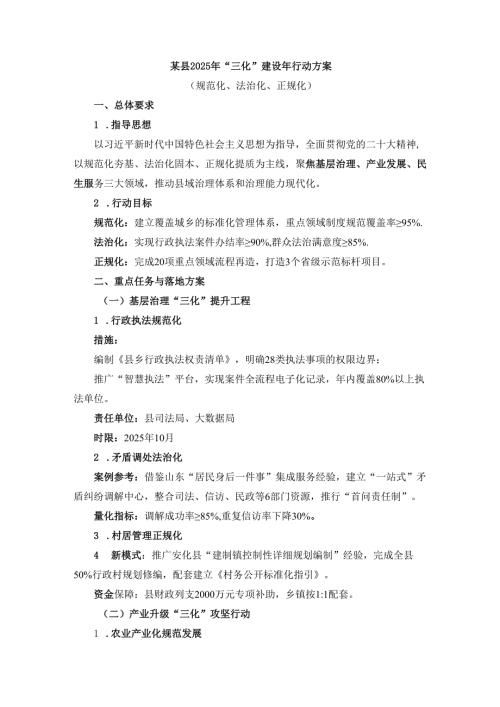 某县2025年“三化”建设年行动方案.docx
