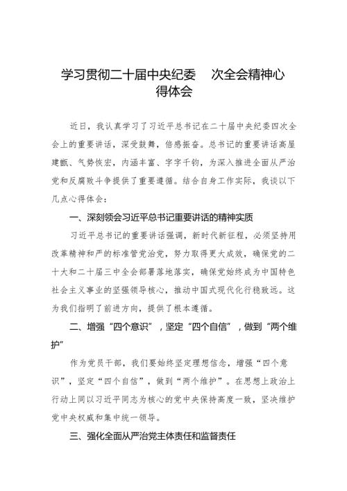 纪检监察干部学习二十中央纪委四次全会重要精神的心得体会十三篇.docx