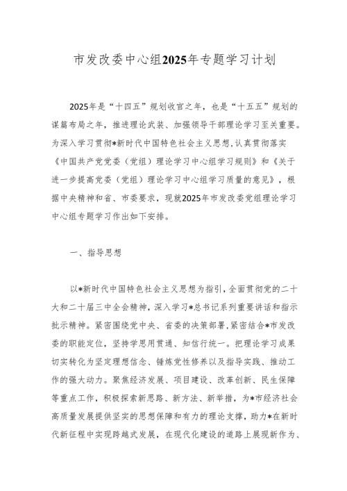 市发改委中心组2025年专题学习计划.docx