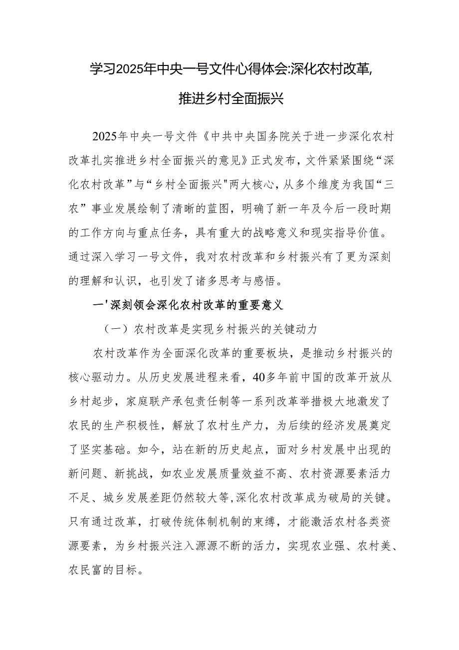 深入学习2025年中央一号文件心得体会感想3篇.docx_第2页