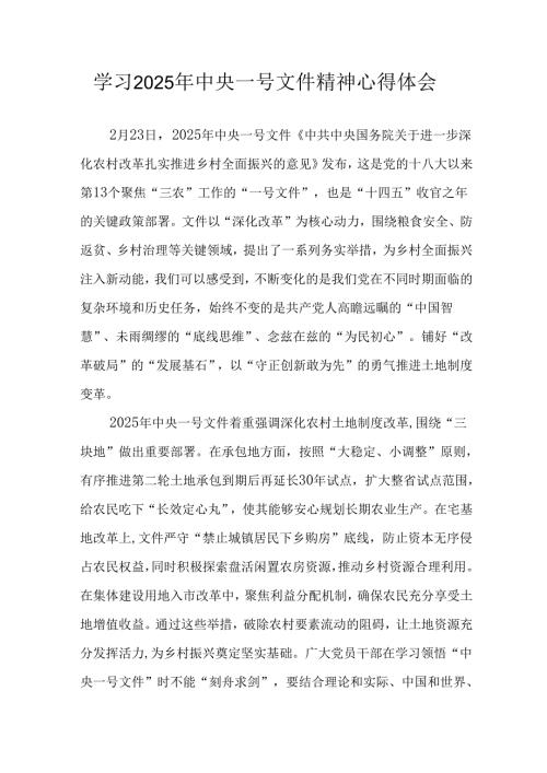 学习2025年中央一号文件精神个人心得体会 （汇编5份）.docx