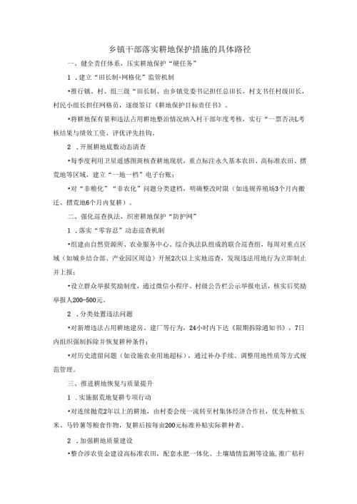 乡镇干部落实耕地保护措施的具体路径.docx