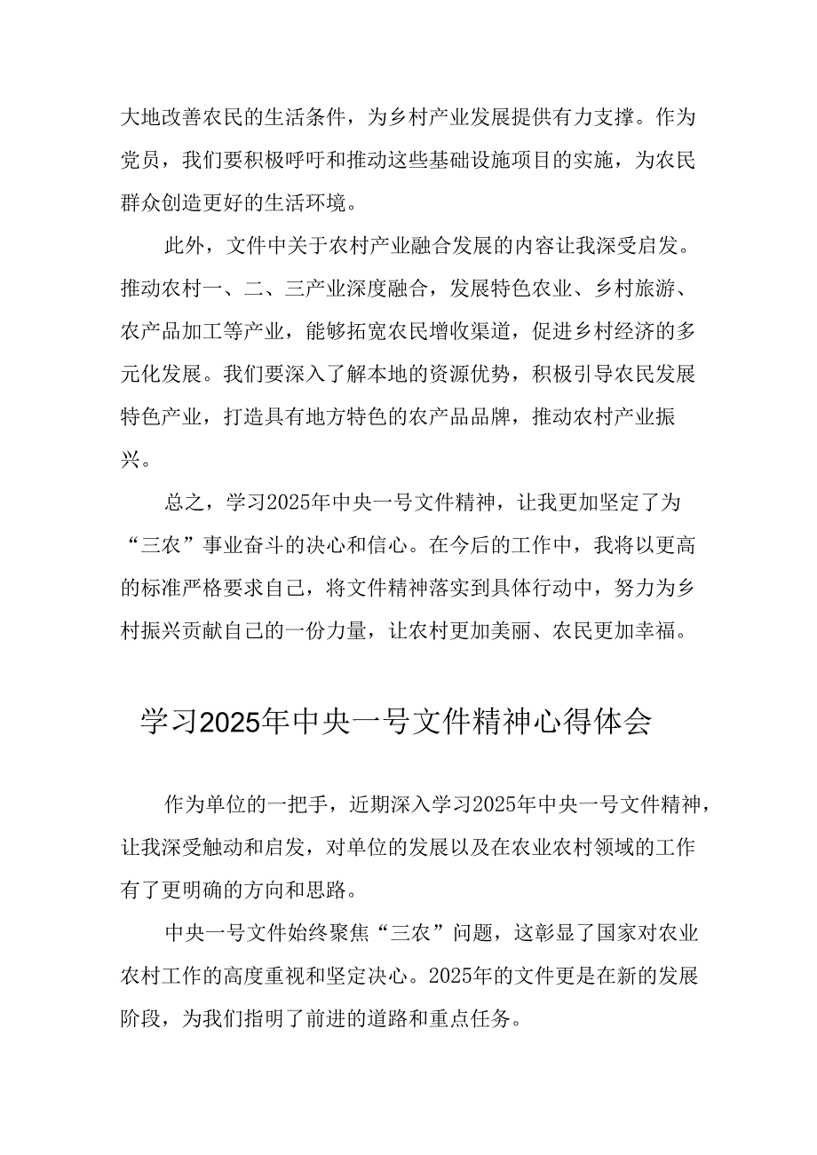 学习2025年中央一号文件精神心得体会 （5份）.docx_第2页