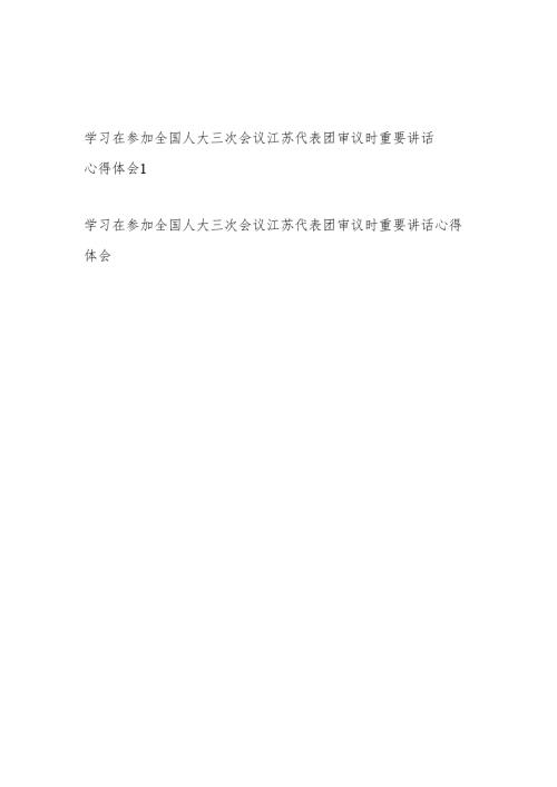 学习在参加2025年全国人大三次会议江苏代表团审议时重要讲话心得体会研讨发言2篇.docx