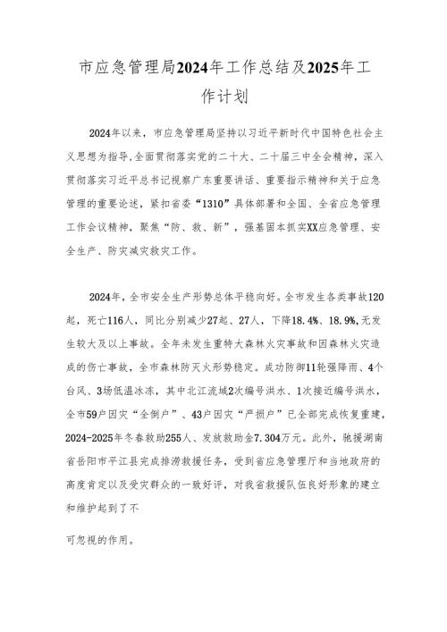 市应急管理局2024年工作总结及2025年工作计划.docx