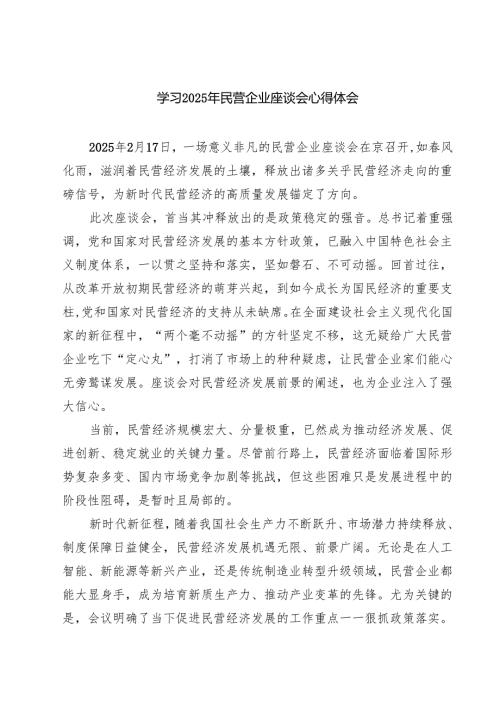 六篇 学习2025年民营企业座谈会心得体会（最新版）.docx