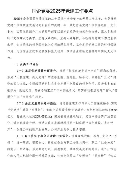 国企党委2025年党建工作要点.docx