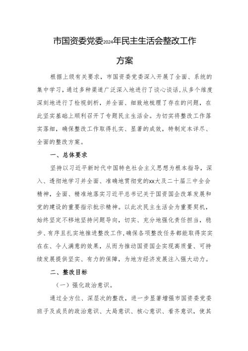 国有资源管理监督委员会党委2024年民主生活会整改工作方案范文.docx