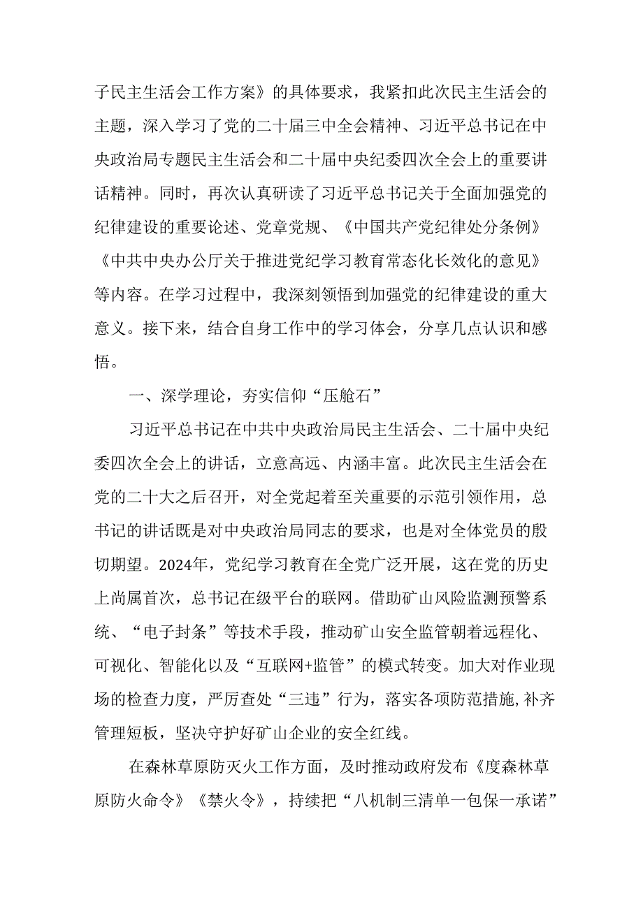 学习2024《民主生活》专题会发言稿.docx_第3页