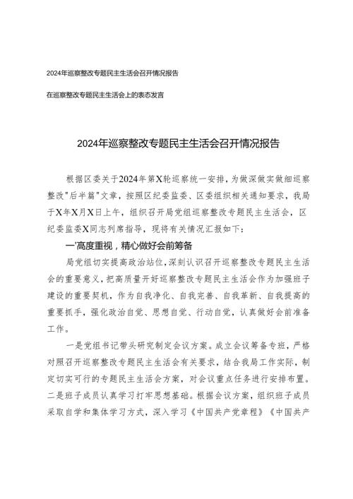 2025年巡察整改专题民主生活会召开情况报告+在巡察整改专题民主生活会上的表态发言.docx