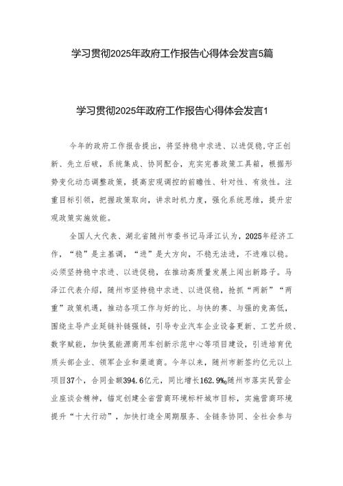 学习贯彻2025年政府工作报告心得体会研讨发言感想5篇.docx