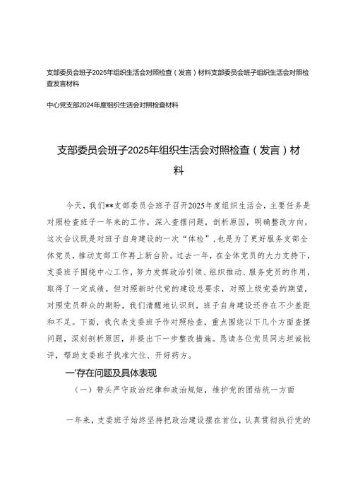 中心党支部、支部委员会班子2025年组织生活会对照检查（发言）材料（四个带头）.docx