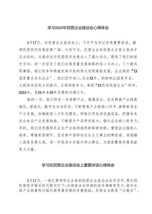 学习2025年民营企业座谈会心得体会精选范文八篇.docx