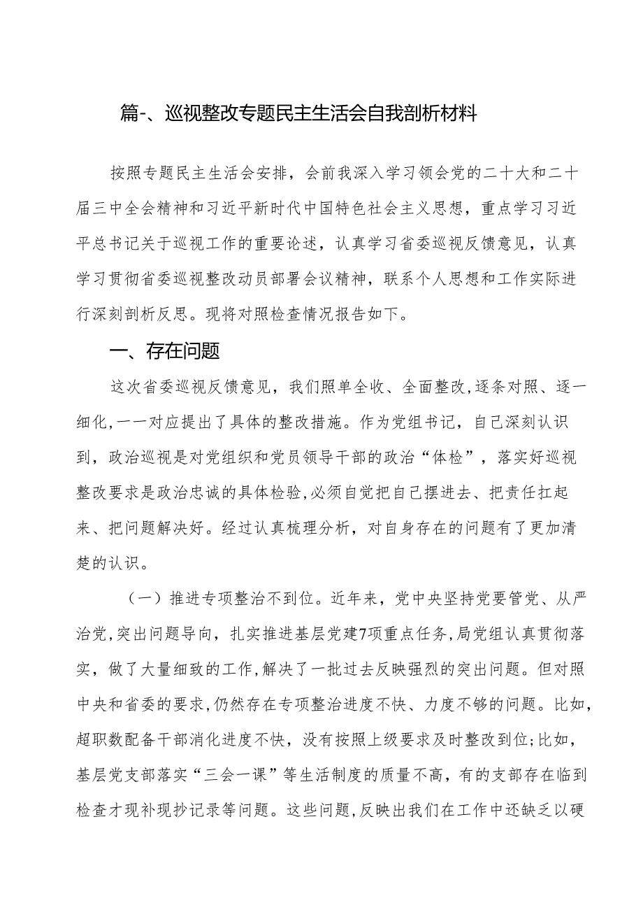 巡视整改专题民主生活会自我剖析材料【11篇精选】供参考.docx_第2页