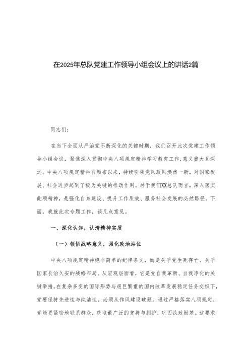 在2025年总队党建工作领导小组会议上的讲话2篇.docx