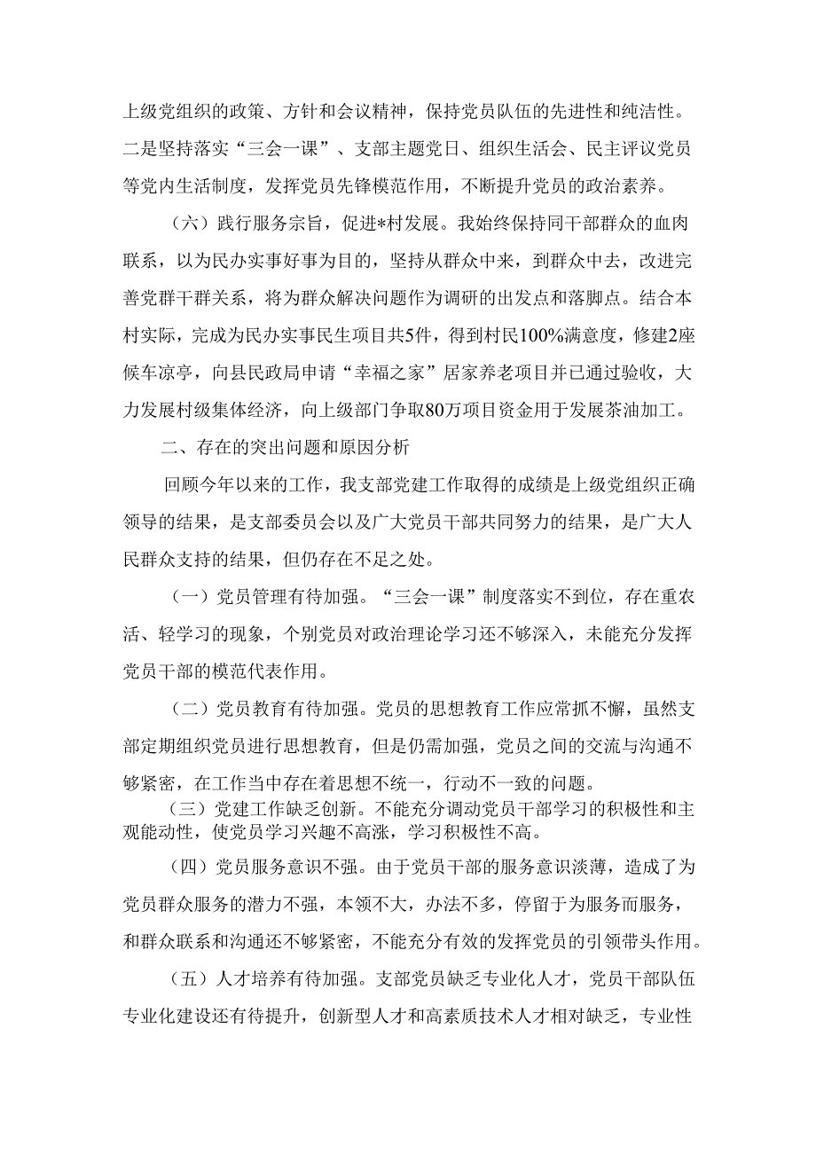村支书（2024年）度个人述职述德述廉报告.docx_第3页