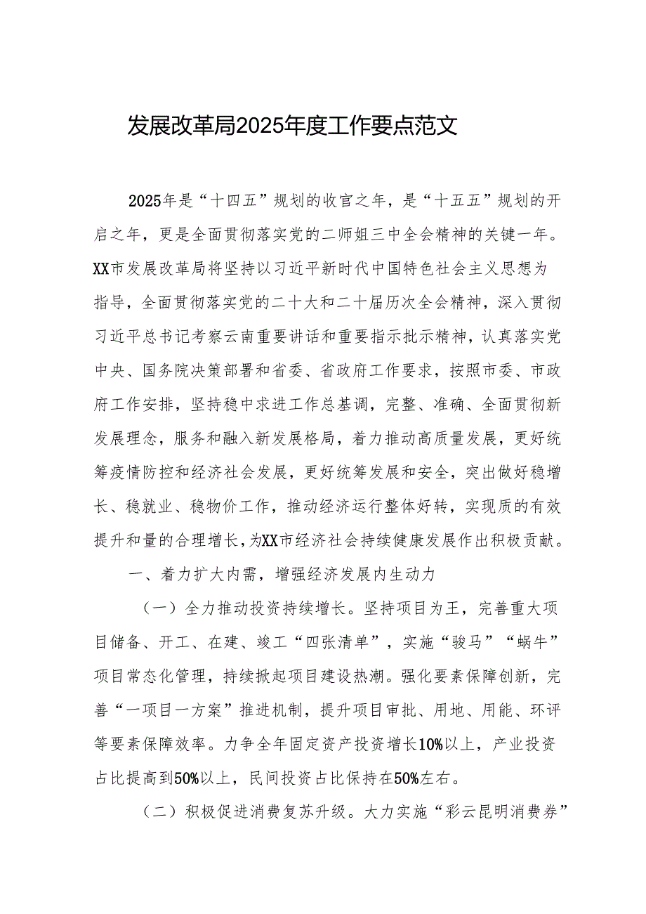 发展改革局2025工作要点范文.docx_第1页