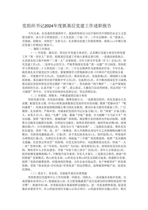 党组织书记2024抓基层党建工作述职报告.docx