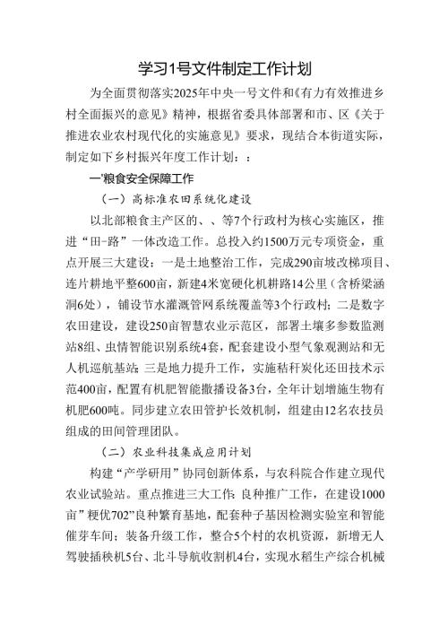 学习2025年中央一号文件制定工作计划.docx