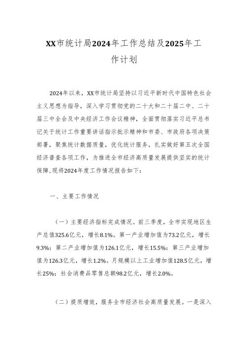 XX市统计局2024年工作总结及2025年工作计划.docx