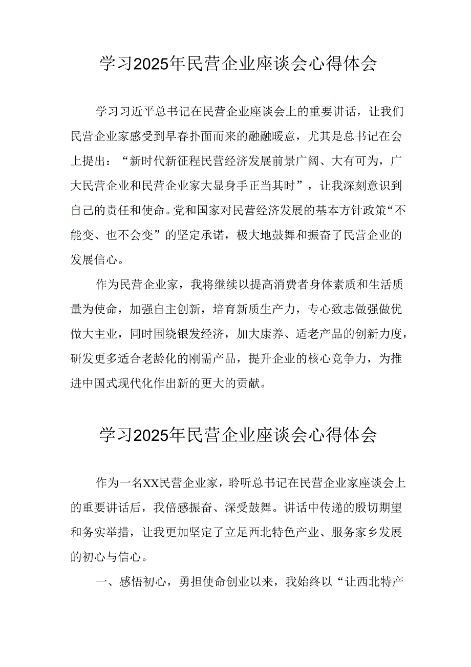 民营企业2025年学习《民营企业座谈会》个人心得感悟 （8份）50.docx_第3页