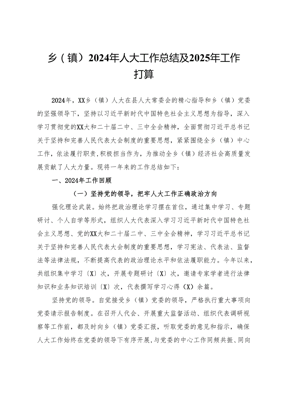 乡（镇）2024年人大工作总结及2025年工作打算.docx_第1页