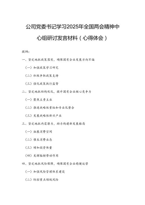 公司党委书记学习2025年全国两会精神中心组研讨发言材料（心得体会）.docx