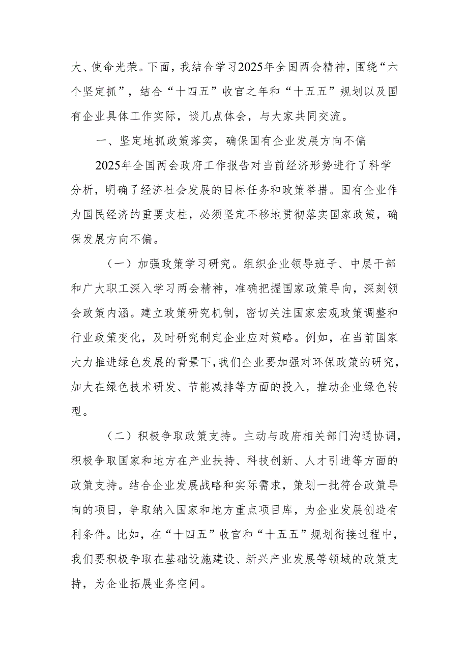 公司党委书记学习2025年全国两会精神中心组研讨发言材料（心得体会）.docx_第3页