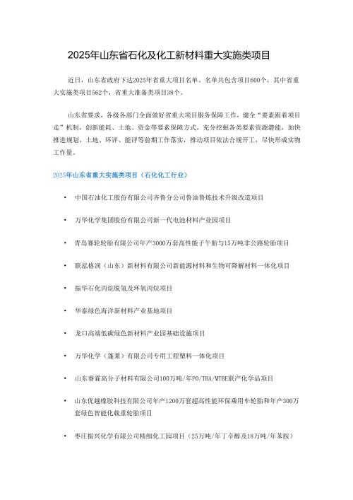 2025年山东省石化及化工新材料重大实施类项目.docx