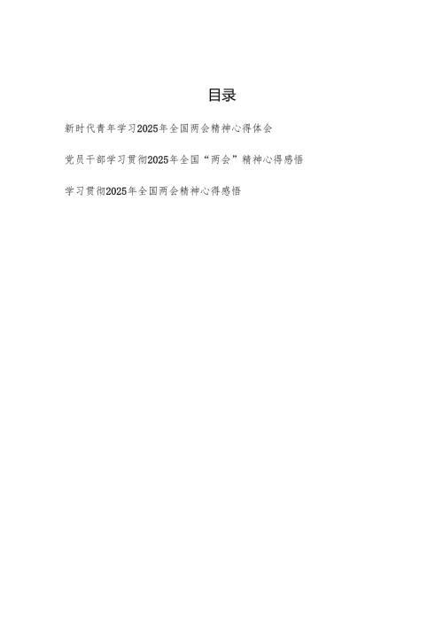 青年党员干部学习贯彻2025年全国两会精神心得体会共3篇.docx