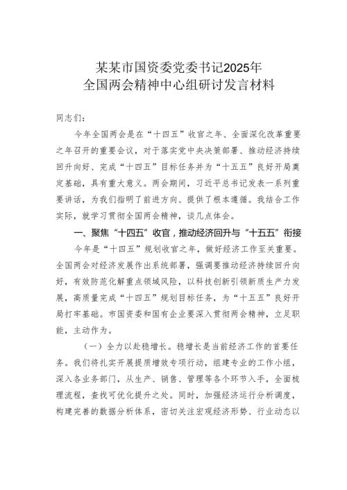 某某市国资委党委书记2025年全国两会精神中心组研讨发言材料.docx