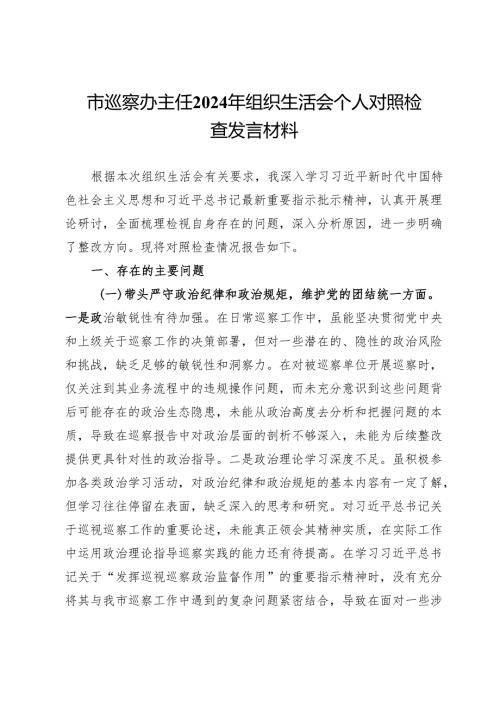 市巡察办主任2024年组织生活会个人对照检查发言材料.docx