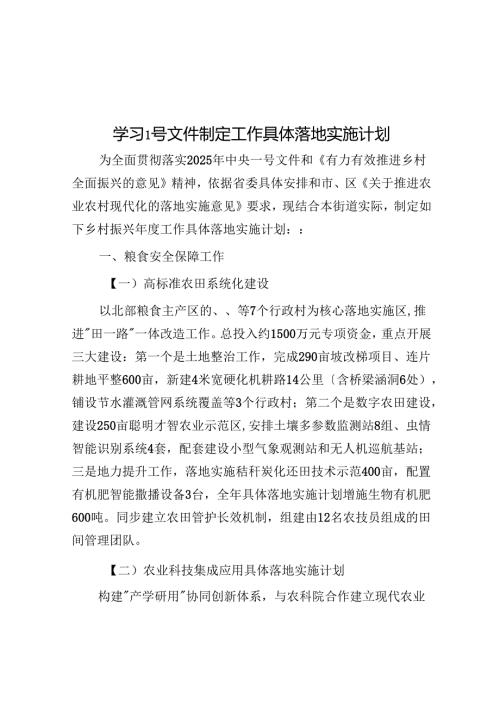 学习2025年1号文件制定工作计划.docx