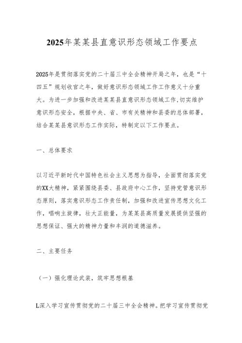 2025年某某县直意识形态领域工作要点.docx
