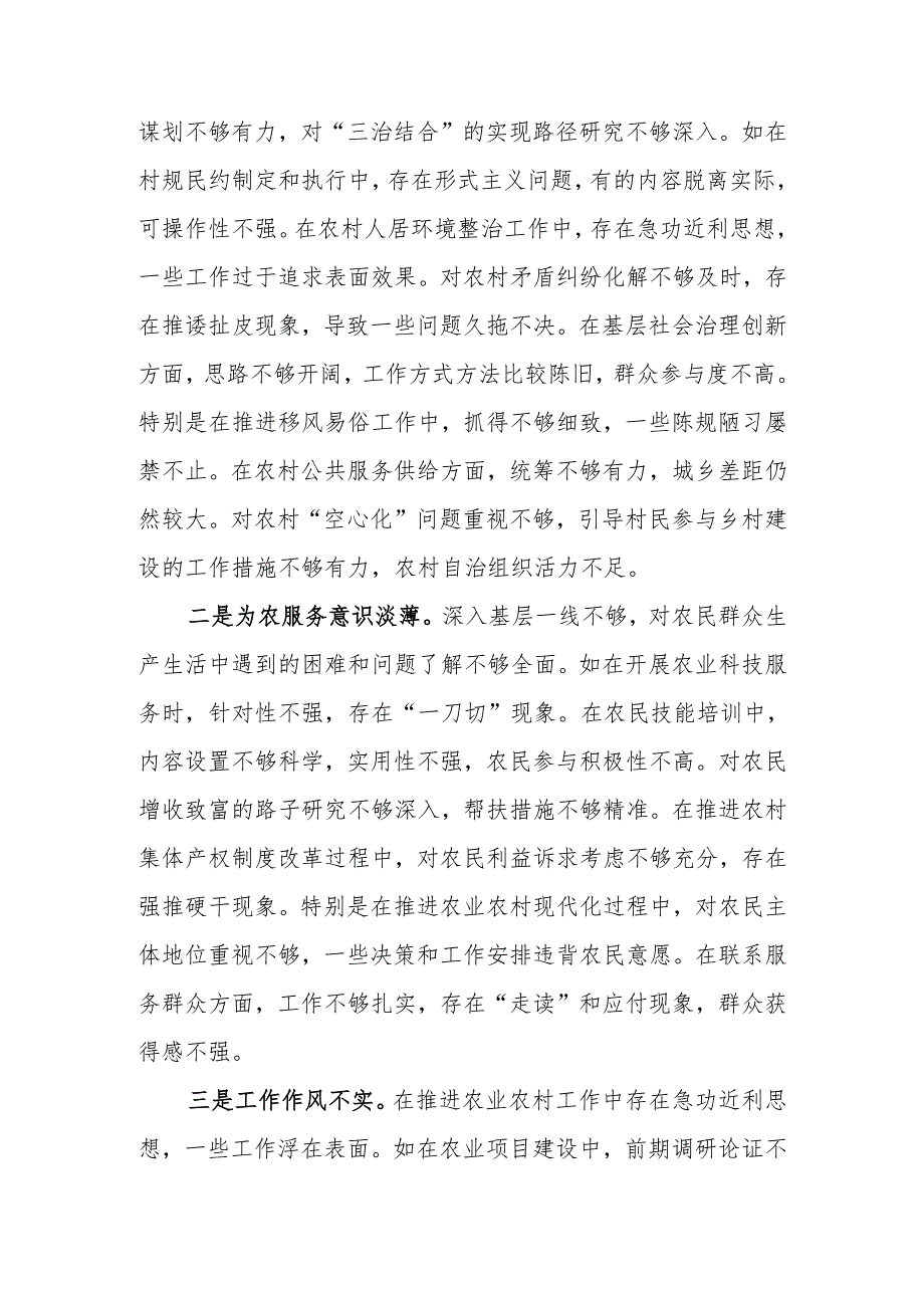 最新副乡长2024年民主生活检查材料发言材料（四个带头）可编辑文档.docx_第3页