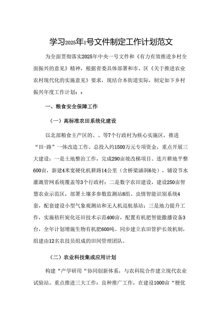 学习2025年1号文件制定工作计划范文.docx_第1页