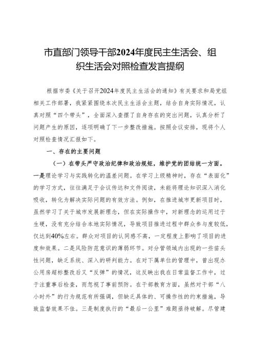 市直部门领导干部2024民主生活会、组织生活会对照检查发言提纲(1).docx