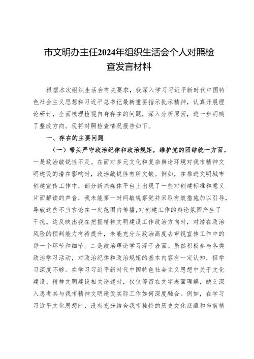 市文明办主任2024年组织生活会个人对照检查发言材料.docx