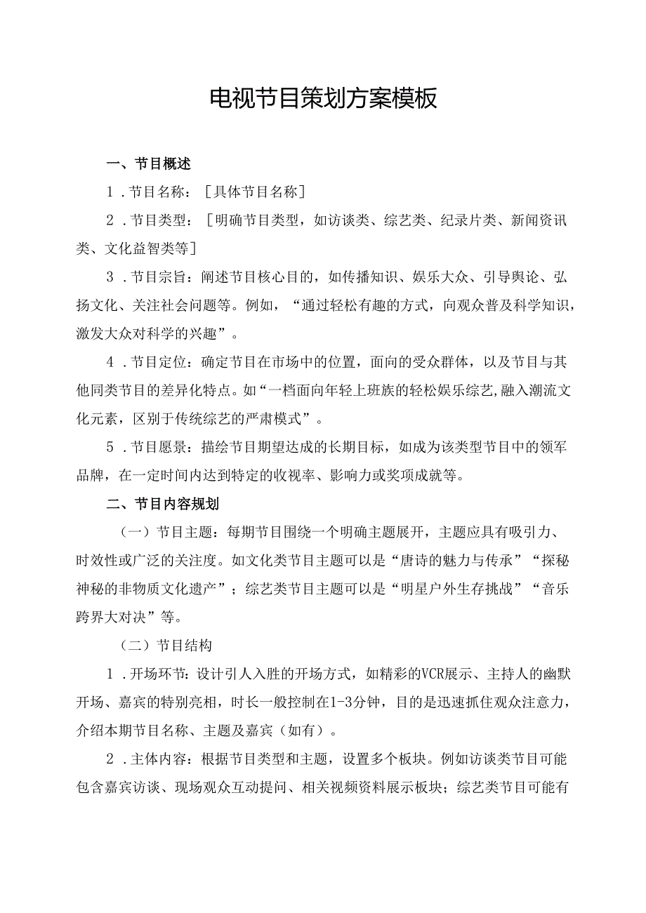 电视节目策划方案模板.docx_第1页